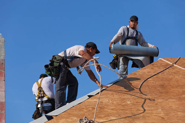 Best Roof Gutter Cleaning  in Brownsville, PA